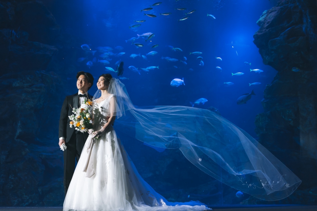 京都水族館 ロケーションフォトプラン 京都駅直結の結婚式場 ホテルグランヴィア京都